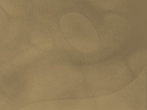 精准营销无废话入门：只讲你最需要的